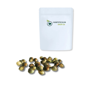 Think Fast Cannabis Samen – dynamischer Sativa-Hybrid