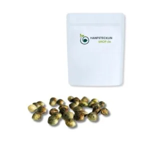 Mexican Sativa® THC-Samen – robuste Outdoor-Sativa mit klarem Kopf-High