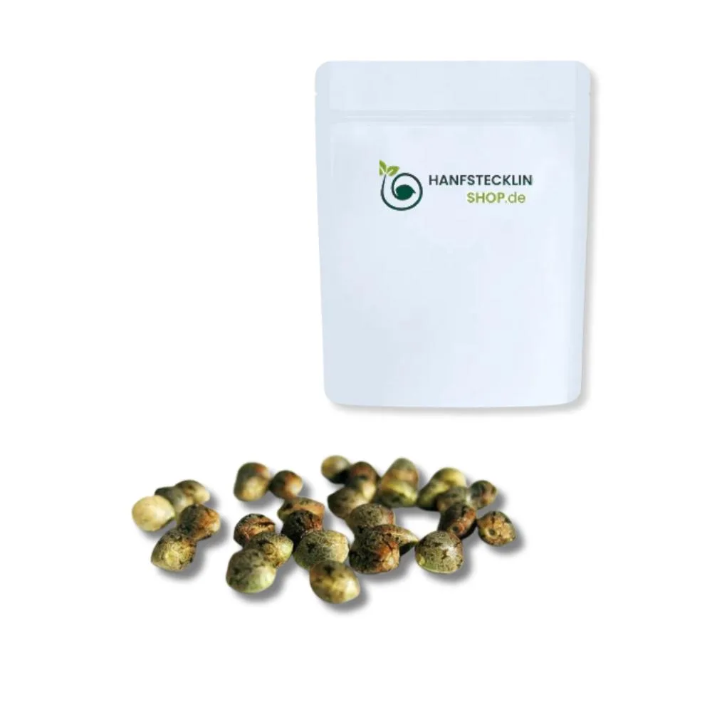 Big Bud® THC-Samen – Indica-dominante Sorte mit großen, harzigen Blüten und intensivem Aroma